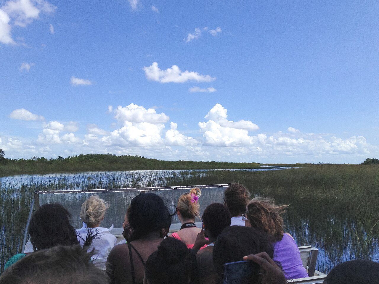 Airboat ride in the Florida Everglades